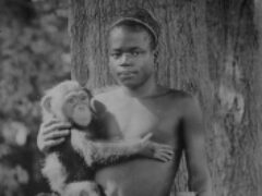 Нью-йоркский зоопарк извинился за чернокожего в вольере для обезьян